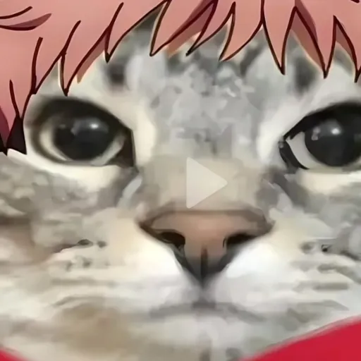 creator Unknown73's avatar
