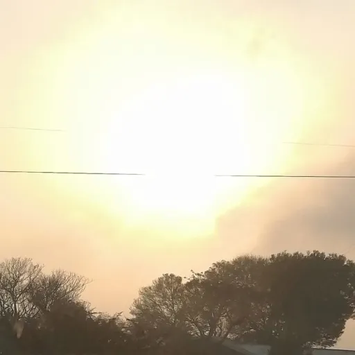 creator 🌸🌼flutterbye🌼🌸's avatar