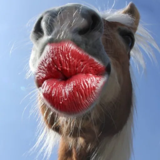 creator ~☆🍉🌺Priya🌺🍉☆~'s avatar