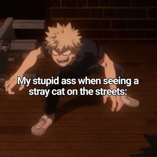 creator I bark at people:)'s avatar