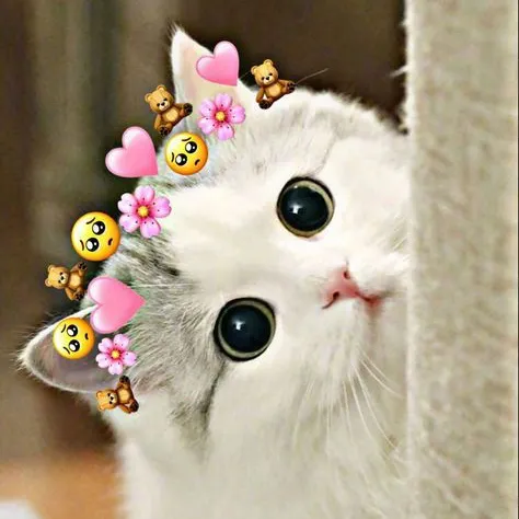 creator Emma ❀'s avatar