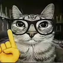 creator ErM aCtUaLlY- ☝🤓's avatar