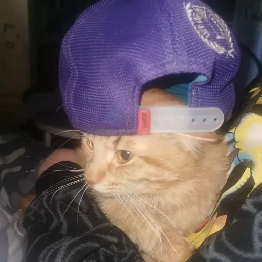 creator cat_:3's avatar