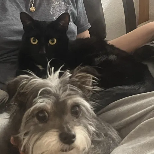 creator Mitzy&Hades's avatar
