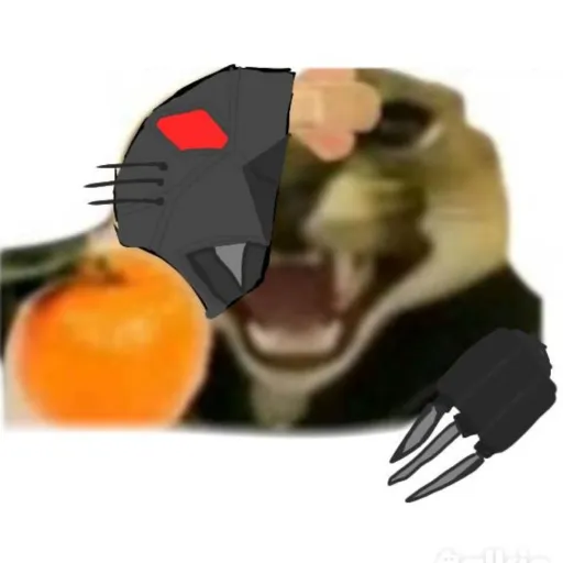 creator floppa anti furry🍊's avatar