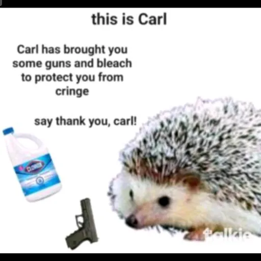 creator ⚪️oreo⚫️ and 🦔carl's avatar