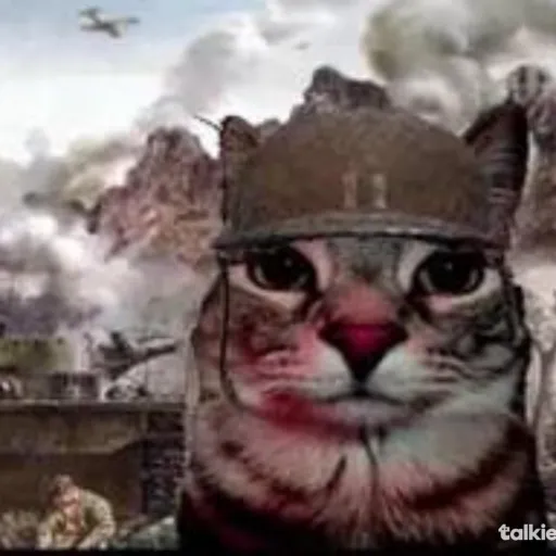 creator team cats!'s avatar