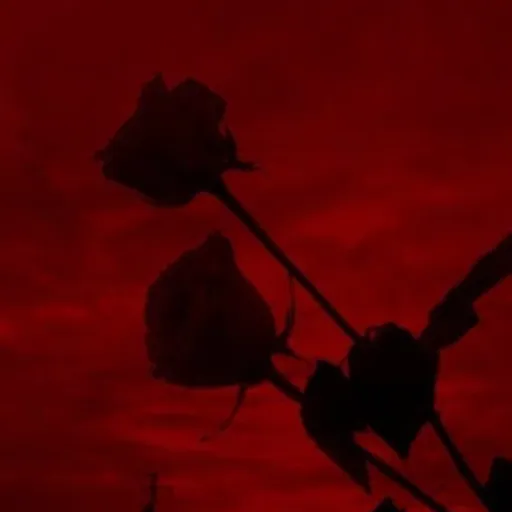 creator 🔥🥀~.|.ᎽХᎪΝ.|.~🥀🔥's avatar