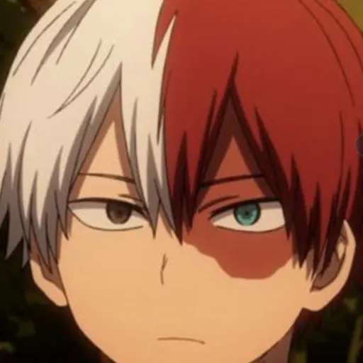 creator Todoroki★'s avatar