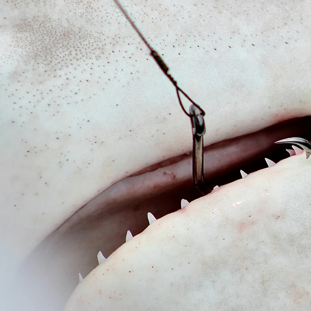 chat with ai character: Dumb Bully