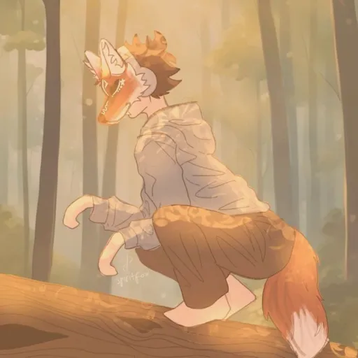 creator renarde de nature's avatar