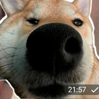 creator boss ck's avatar