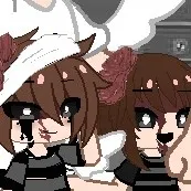 creator Evan:['s avatar
