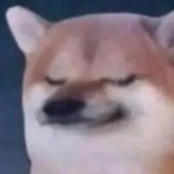 creator •`♥︎✷∭ 𝑶𝑹𝑬𝑶 ∭✸♥︎'•'s avatar