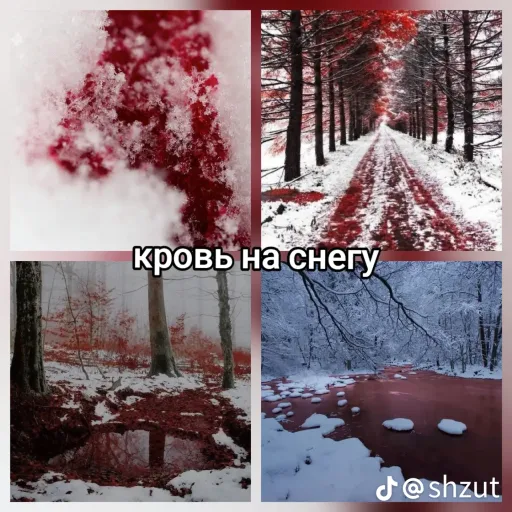 creator Ника>3's avatar