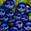 chat with ai character: Jevin Blueberry