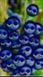 ai character: Jevin Blueberry background