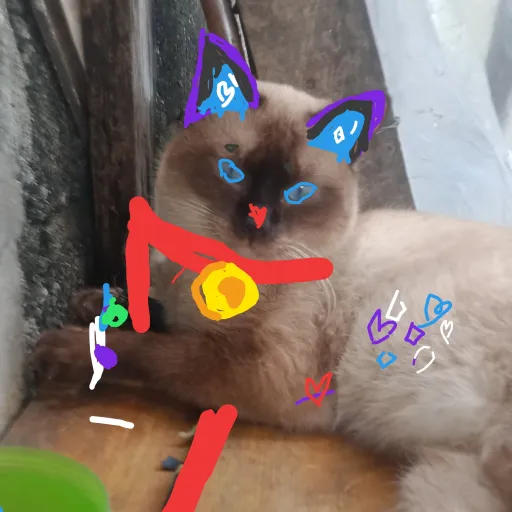 talkie's author avatar