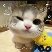 creator itz_lisa's avatar