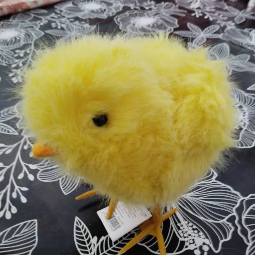 creator Novis🐣🐥🐤's avatar