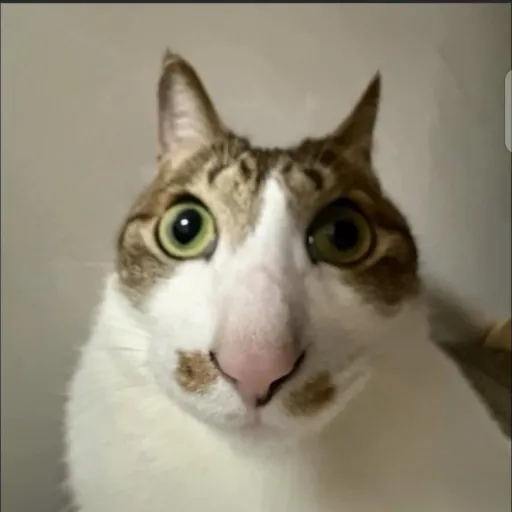 creator hagore's avatar