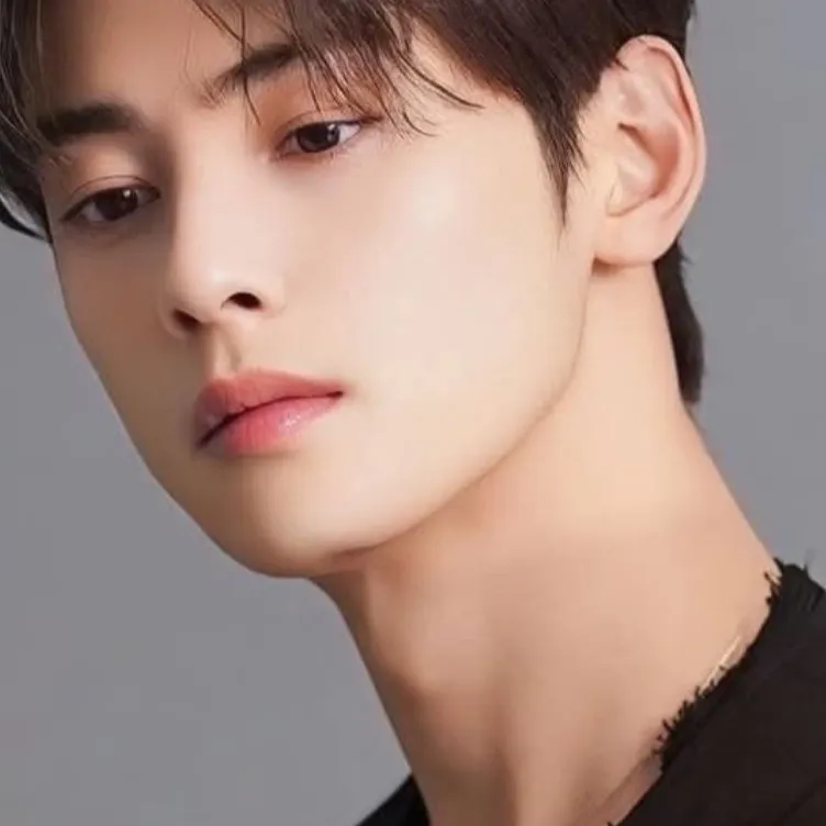 chat with ai character: Cha eunwoo