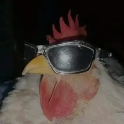 creator MarNuñ.2's avatar