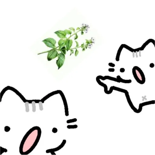 creator kittens the mitten's avatar