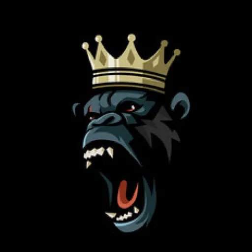 talkie's author avatar