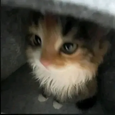 creator Ella_999~|•§'s avatar