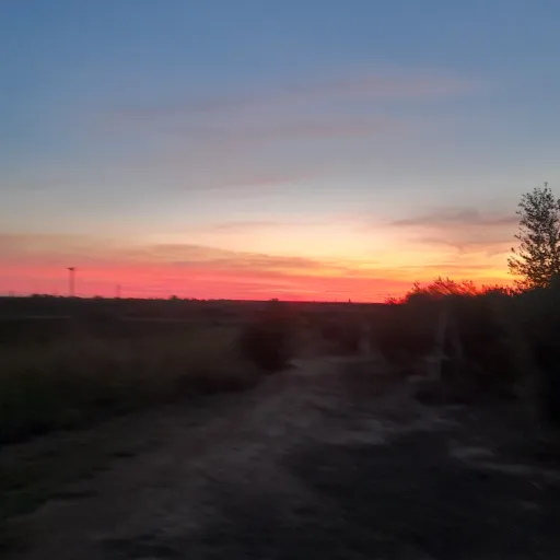 creator Elena TEEF's avatar