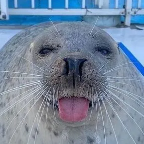 creator RAVEN!!!'s avatar