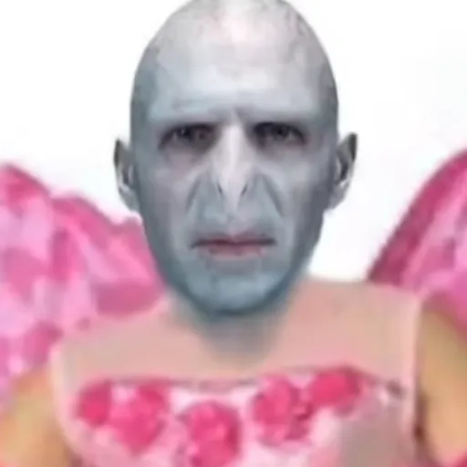 creator ✨NotVoldymoldy✨'s avatar