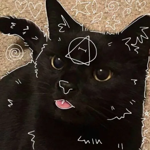 creator 🐾╺⃝⃤C4T╺⃝⃤🐾's avatar