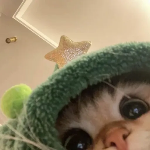 creator Аякс_ да's avatar