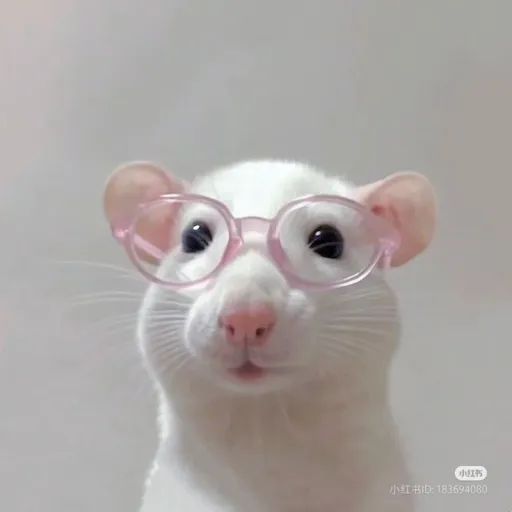 creator холодец💅's avatar