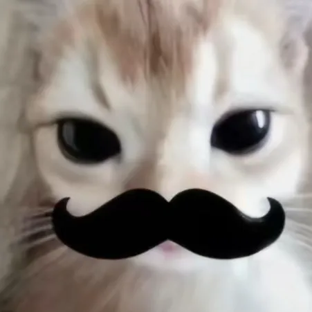 creator Fat ahh cat's avatar
