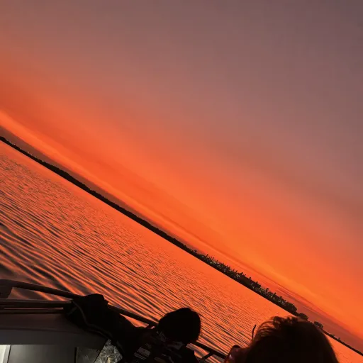 creator 🕊️25/12/22🕊️'s avatar