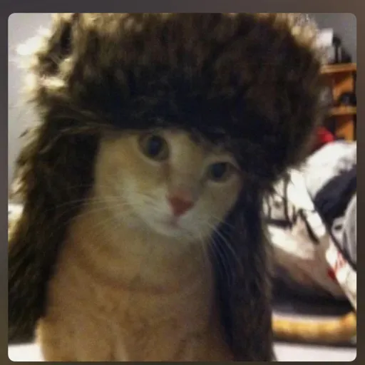 creator KITTYBLOOD's avatar