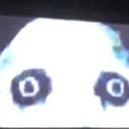 creator What thehell's avatar