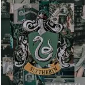 creator 🐍Slytherin_Lover🐍's avatar