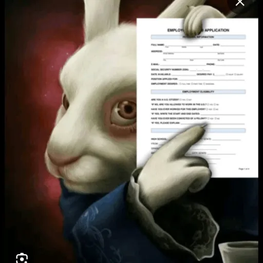 creator sakoru koromeo's avatar