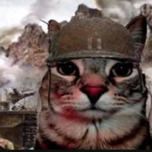 creator GATITO MILITAR TMO's avatar