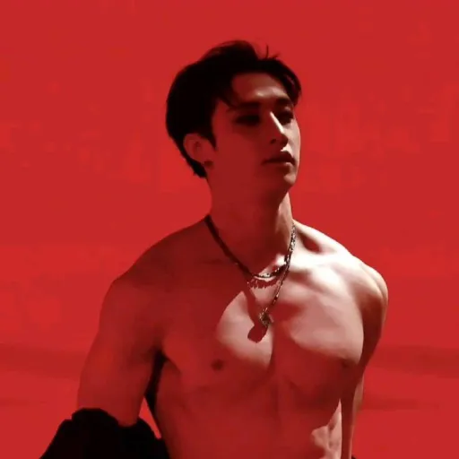 creator 🖤❤️Bangchan❤️🖤's avatar