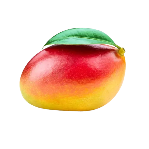 creator mango xddddddddddd's avatar