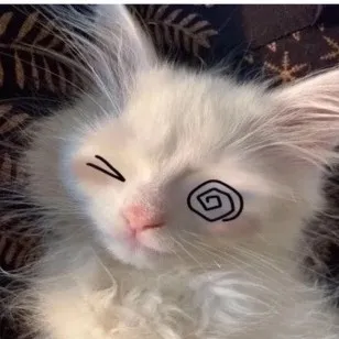 creator Opal_101's avatar