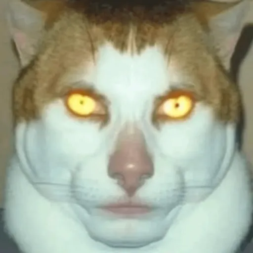 creator mondayleftmebroken's avatar