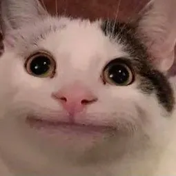 creator beluggaa's avatar