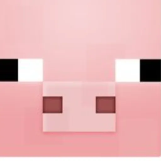 creator ( Pig 🐽 )'s avatar