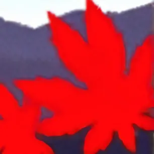 chat with ai character: Bdfi Evill leafy 